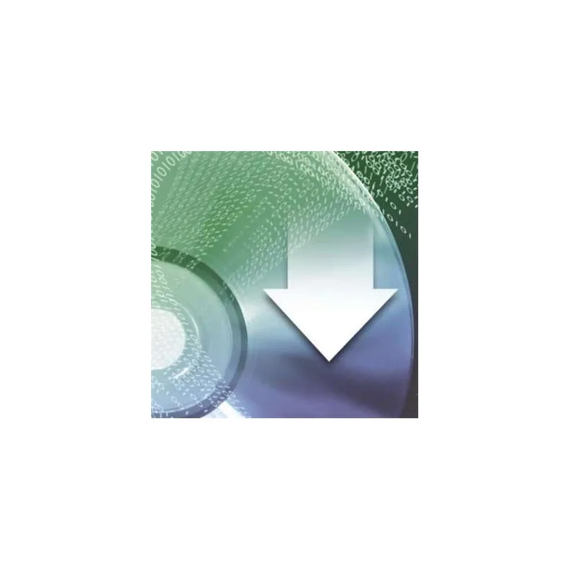 FL MGUARD LIC VPN-100